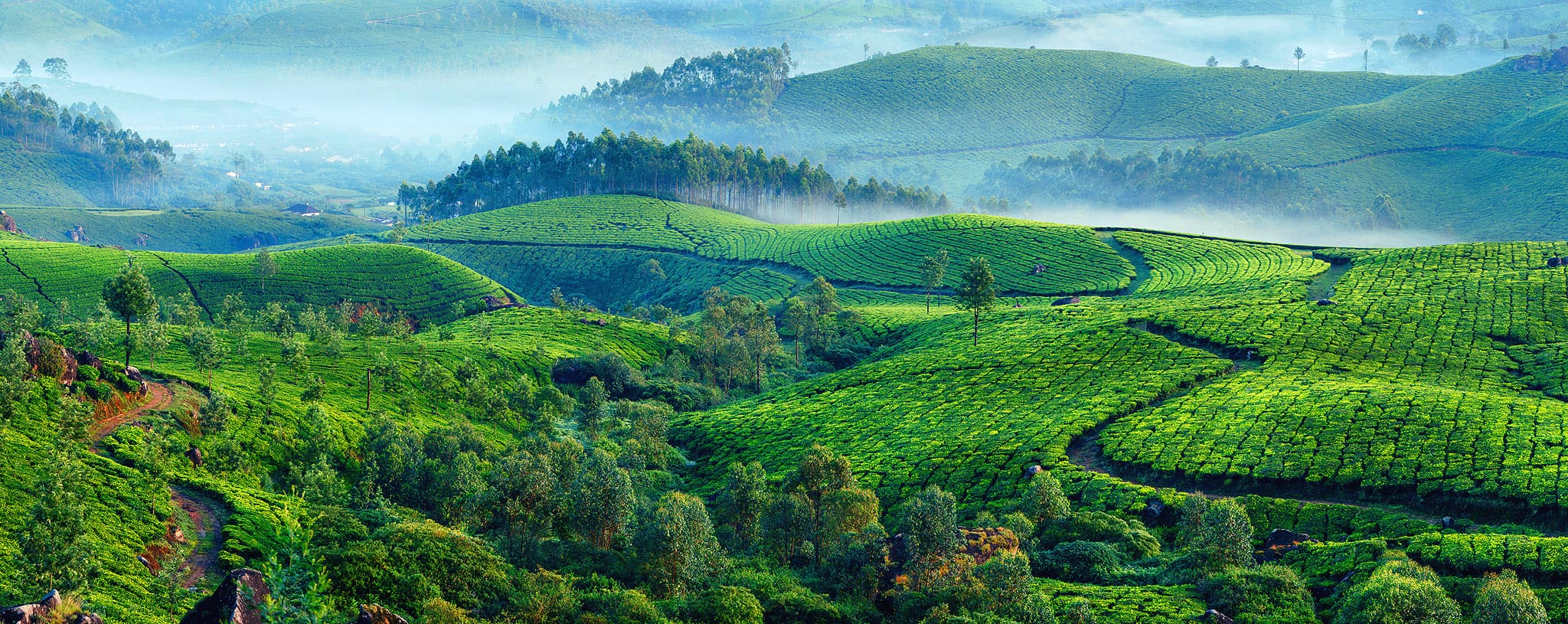 La grande revue de presse mutante - Hiver 2025 - La Spirale.org